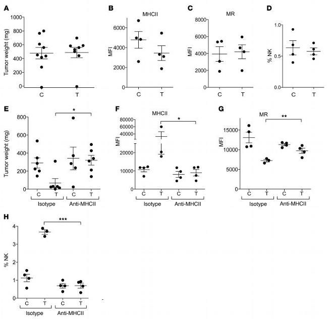 MHC Class II (I-A/I-E) Antibody in Flow Cytometry (Flow)