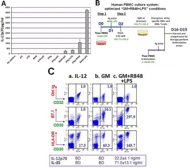 CD33 Antibody in Flow Cytometry (Flow)