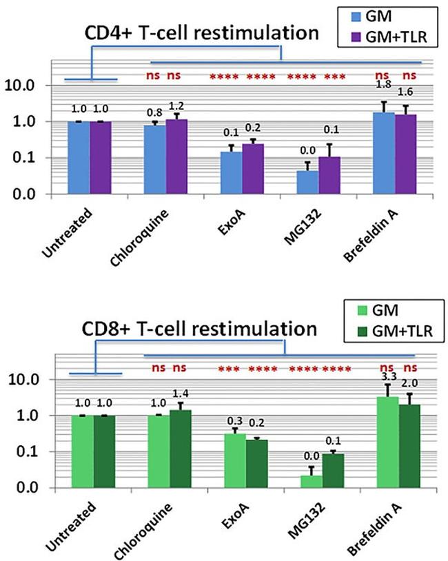 CD40 Antibody in Flow Cytometry (Flow)