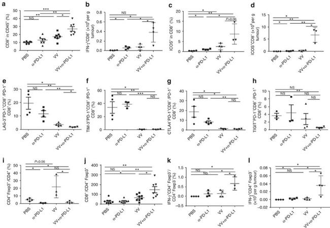 CD223 (LAG-3) Antibody in Flow Cytometry (Flow)