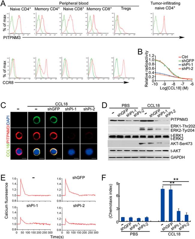 CD45RO Antibody in Flow Cytometry (Flow)