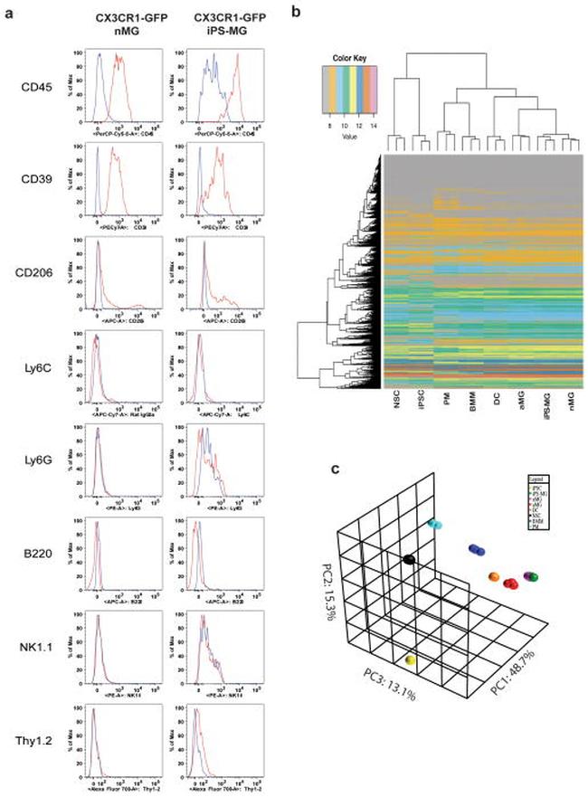 NK1.1 Antibody in Flow Cytometry (Flow)