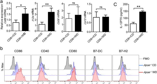 CD273 (B7-DC) Antibody in Flow Cytometry (Flow)