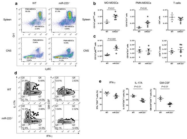 Ly-6C Antibody in Flow Cytometry (Flow)