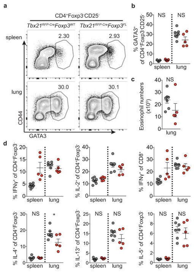 Gata-3 Antibody in Flow Cytometry (Flow)