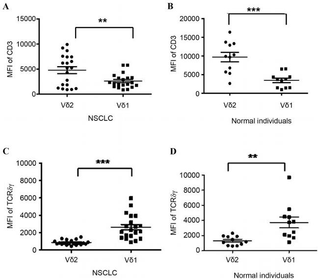 TCR V delta 1 Antibody in Flow Cytometry (Flow)