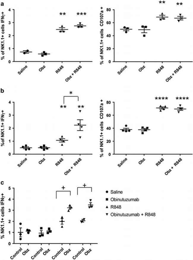 CD107a (LAMP-1) Antibody in Flow Cytometry (Flow)