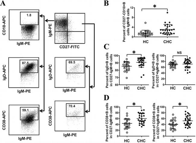 CD38 Antibody in Flow Cytometry (Flow)