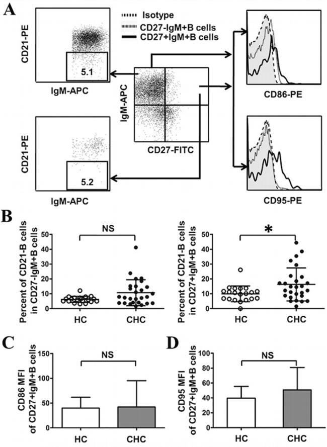 CD86 (B7-2) Antibody in Flow Cytometry (Flow)