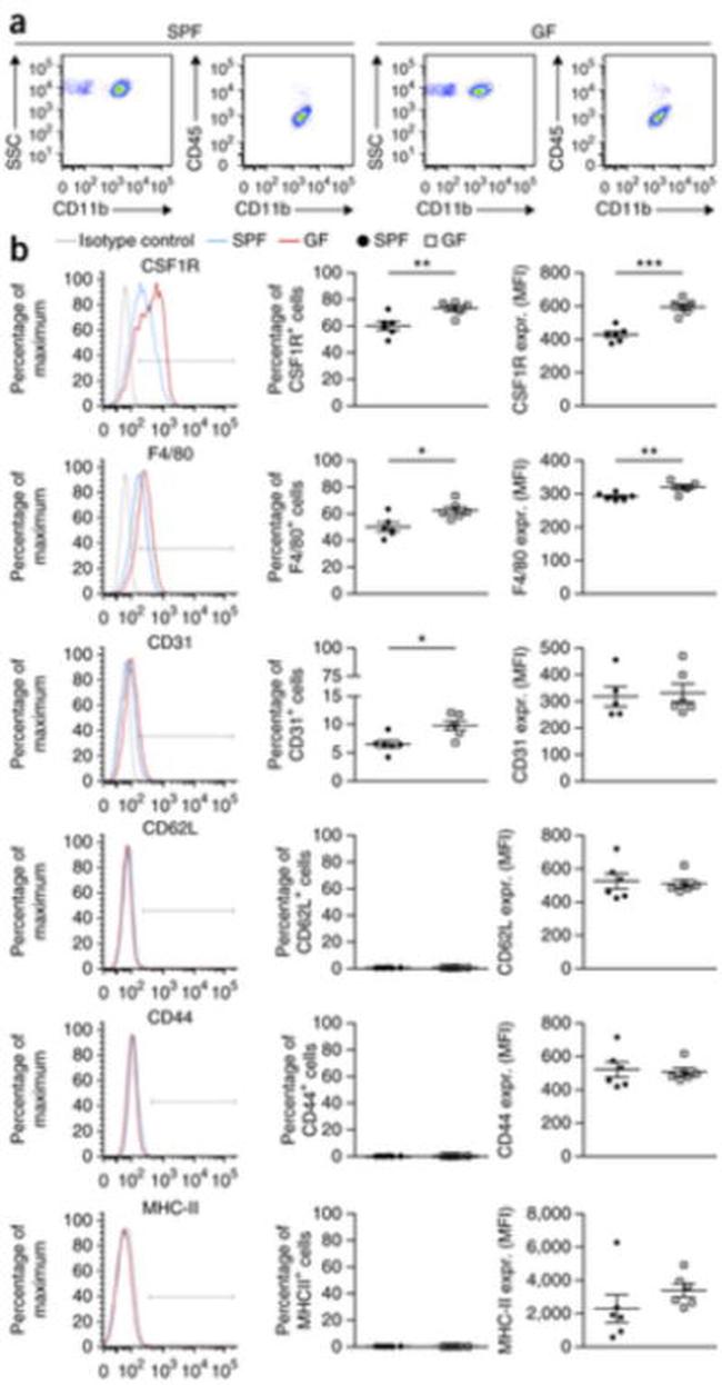 CD31 (PECAM-1) Antibody in Flow Cytometry (Flow)