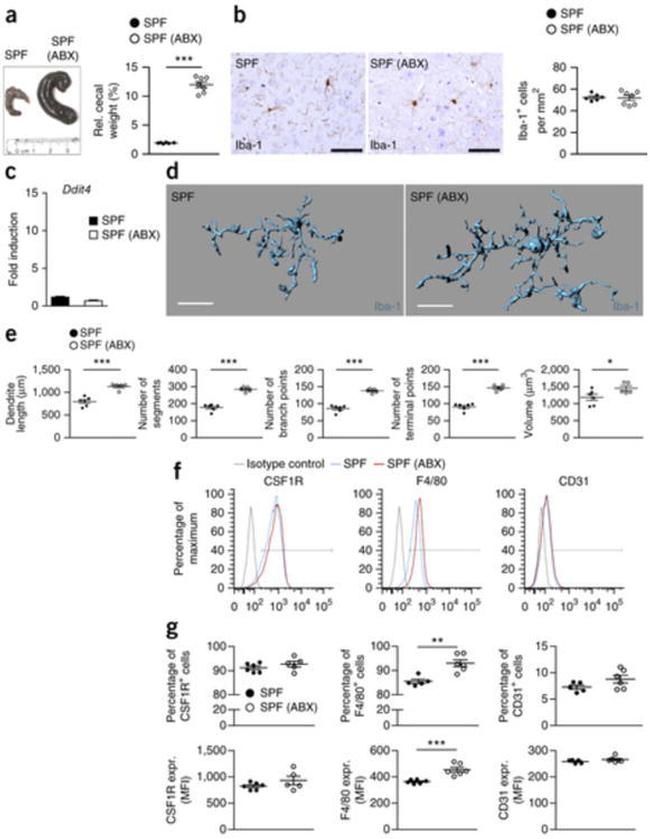 CD31 (PECAM-1) Antibody in Flow Cytometry (Flow)