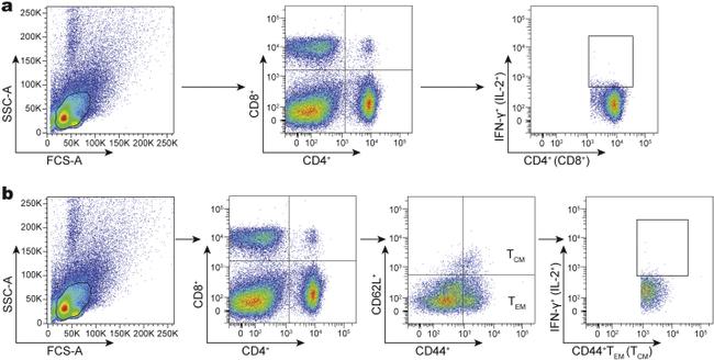 IL-2 Antibody in Flow Cytometry (Flow)