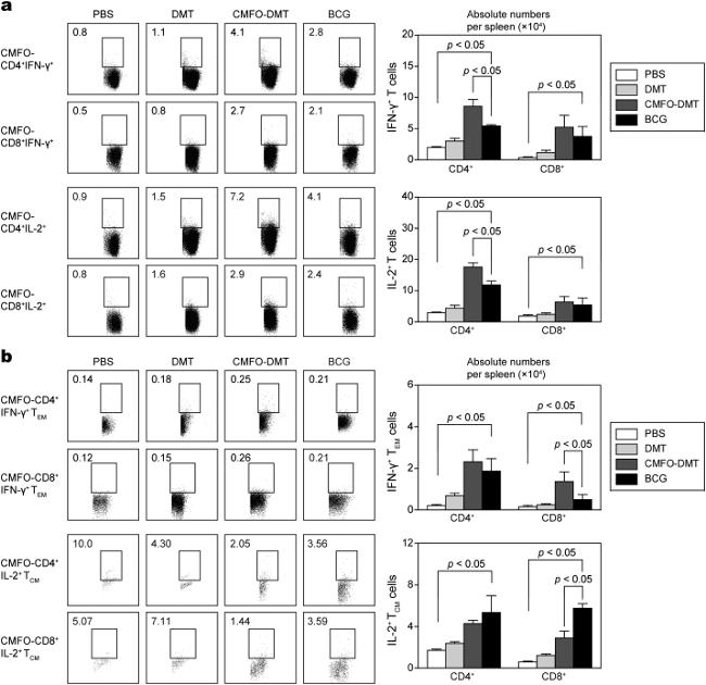 CD8a Antibody in Flow Cytometry (Flow)