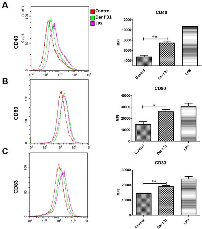 CD80 (B7-1) Antibody in Flow Cytometry (Flow)