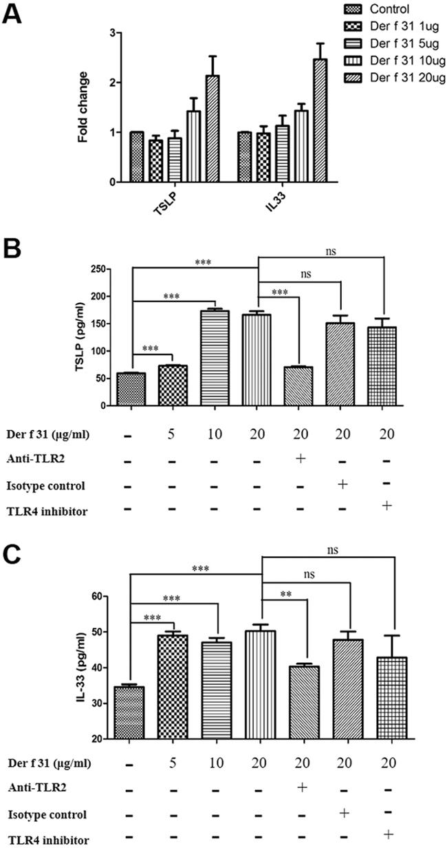 IL-33R (ST2) Antibody in ELISA (ELISA)