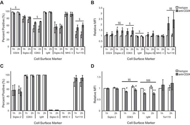 CD24 Antibody in Flow Cytometry, T-Cell Activation (Flow, TCA)