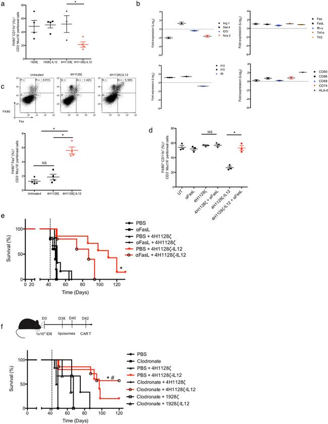 CD95 (APO-1/Fas) Antibody in Flow Cytometry (Flow)