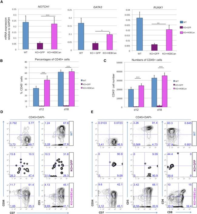 CD7 Antibody in Flow Cytometry (Flow)