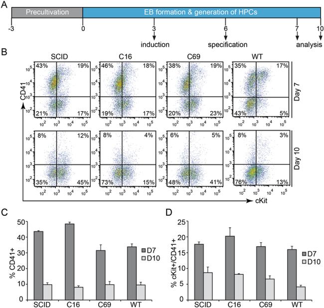 CD41a Antibody in Flow Cytometry (Flow)