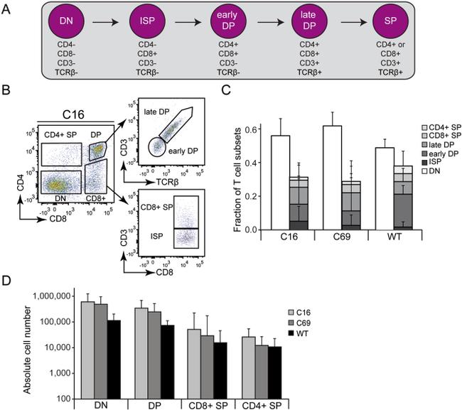 TCR beta Antibody in Flow Cytometry (Flow)