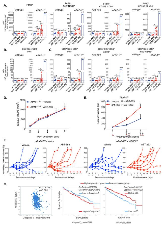 iNOS Antibody in Flow Cytometry (Flow)