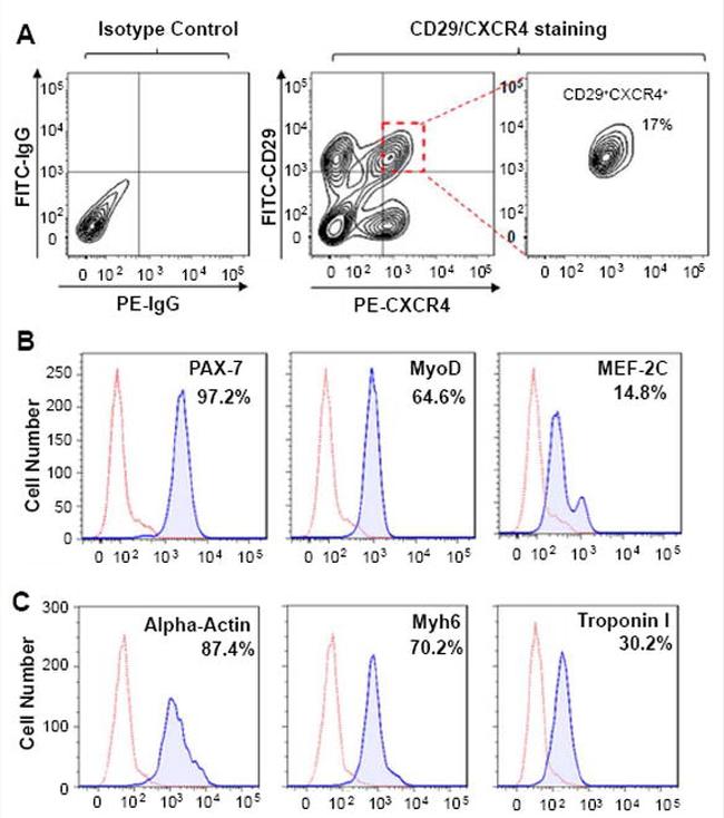 CD29 (Integrin beta 1) Antibody in Flow Cytometry (Flow)