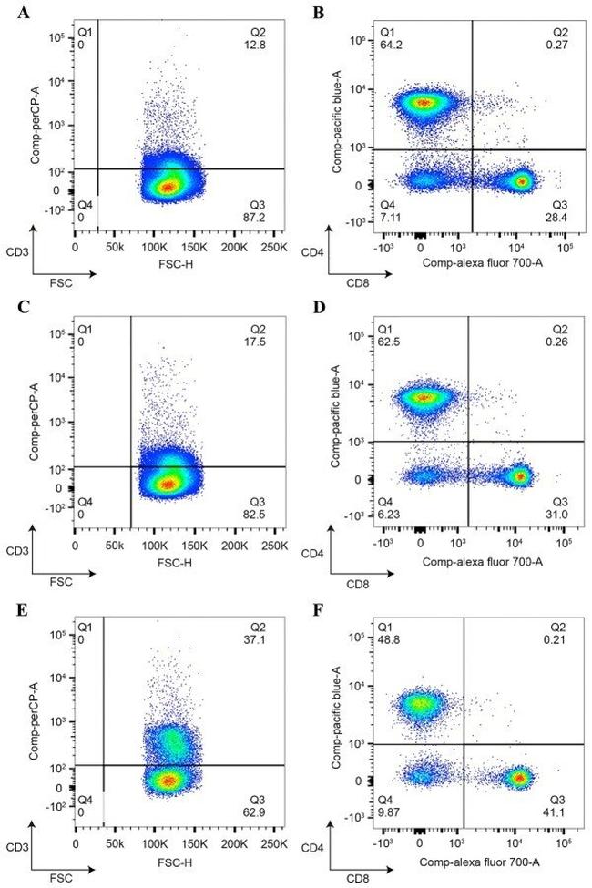 CD11c Antibody in Flow Cytometry (Flow)