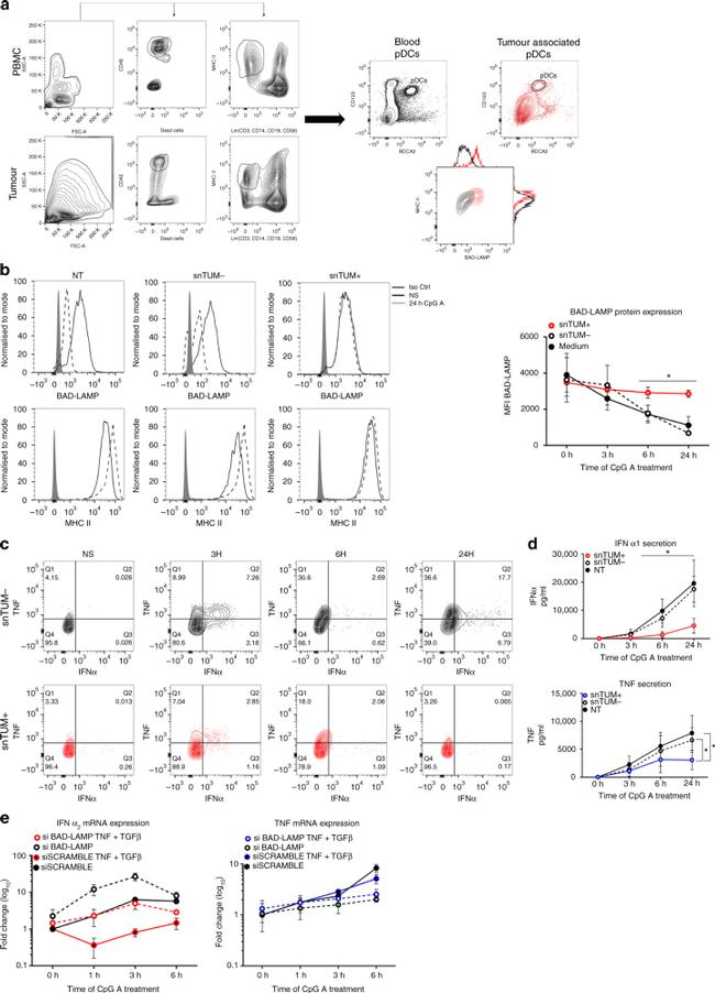 LAMP5 (BAD-LAMP) Antibody in Flow Cytometry (Flow)