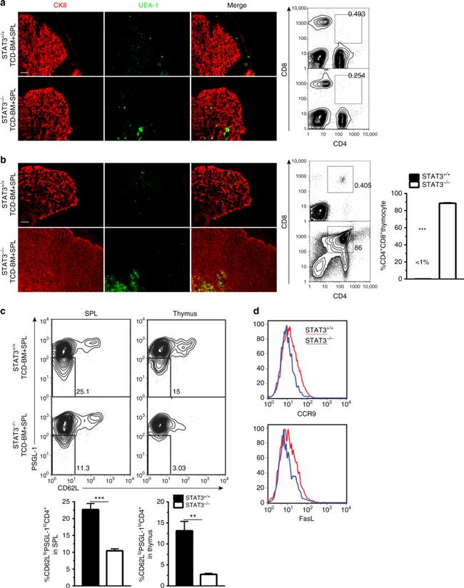 CD4 Antibody in Flow Cytometry (Flow)