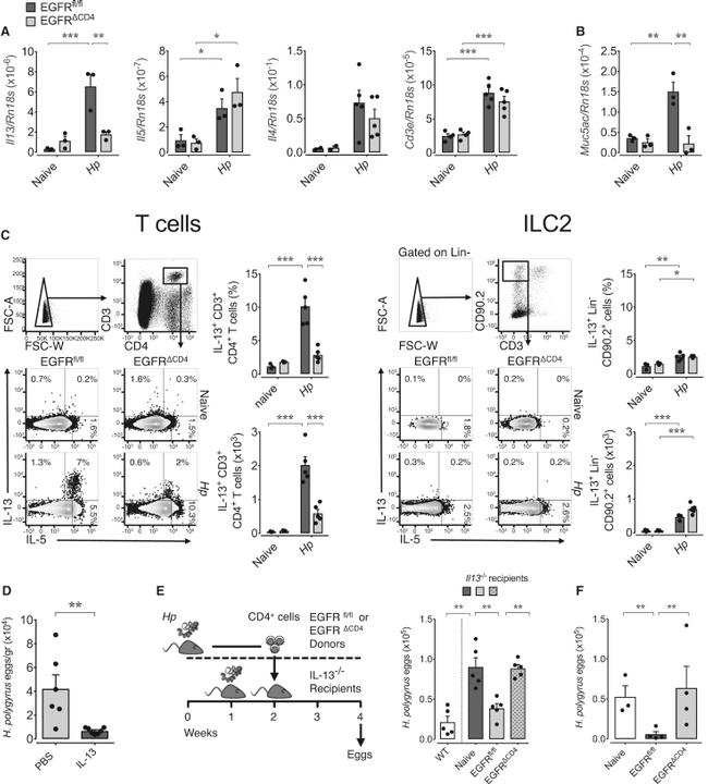 IL-13 Antibody in Flow Cytometry (Flow)