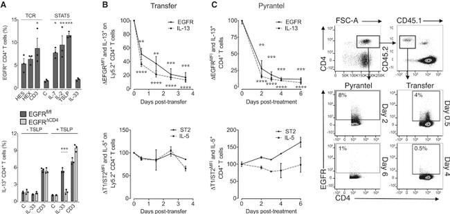 ST2 Antibody in Flow Cytometry (Flow)