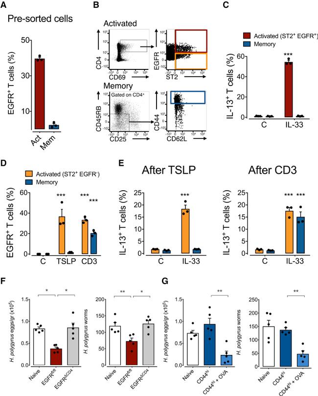 ST2 Antibody in Flow Cytometry (Flow)