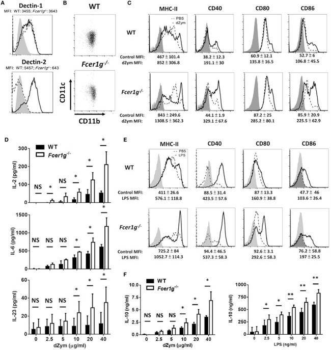 CD80 (B7-1) Antibody in Flow Cytometry (Flow)