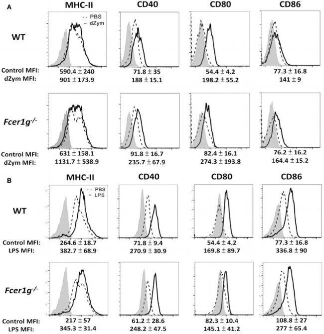 CD80 (B7-1) Antibody in Flow Cytometry (Flow)