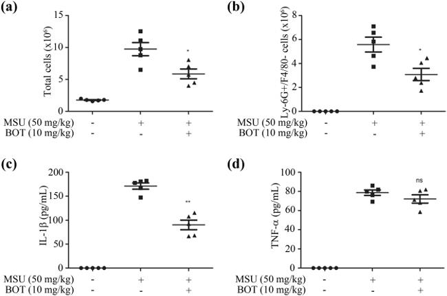 Ly-6G/Ly-6C Antibody in Flow Cytometry (Flow)