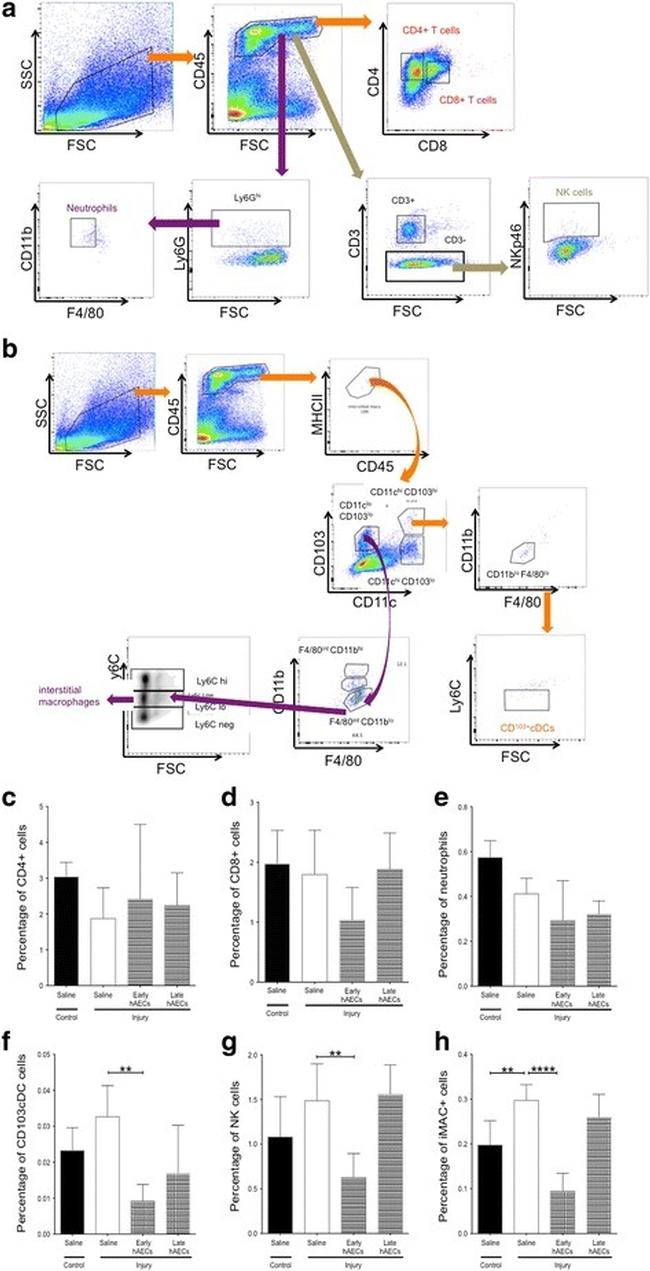 F4/80 Antibody in Flow Cytometry (Flow)