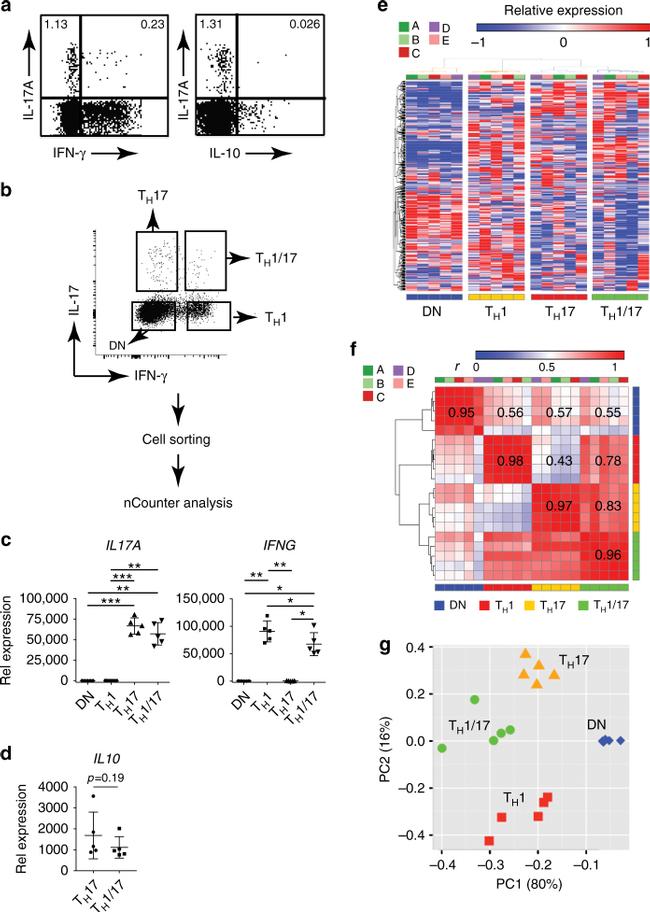 IL-17A Antibody in Flow Cytometry (Flow)