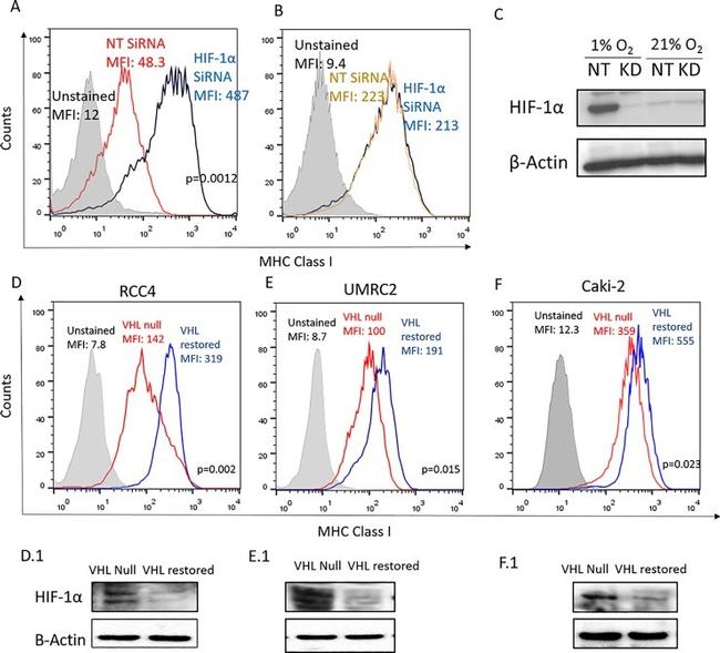 HLA-ABC Antibody in Flow Cytometry (Flow)