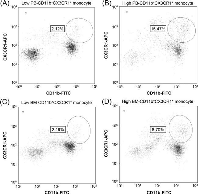 CD11b Antibody in Flow Cytometry (Flow)