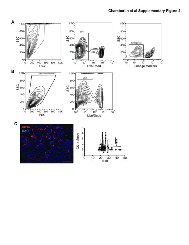 TER-119 Antibody in Flow Cytometry (Flow)