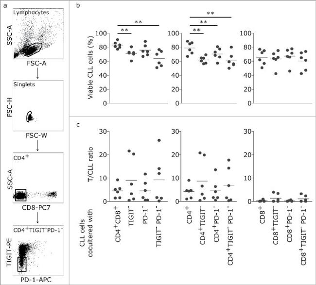 TIGIT Antibody in Flow Cytometry (Flow)