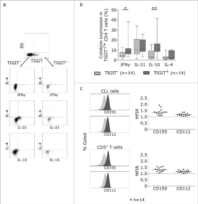 TIGIT Antibody in Flow Cytometry (Flow)