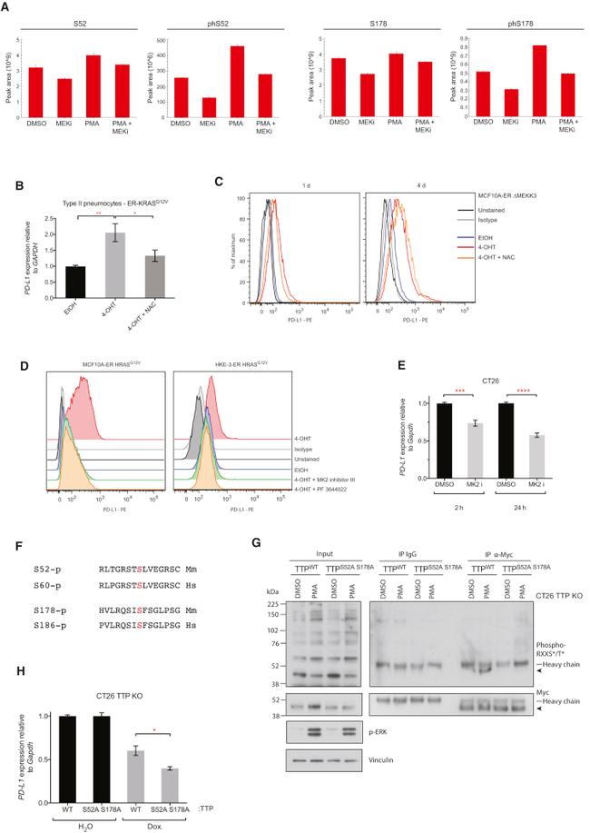 CD274 (PD-L1, B7-H1) Antibody in Flow Cytometry (Flow)