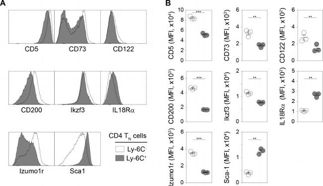 Aiolos Antibody in Flow Cytometry (Flow)