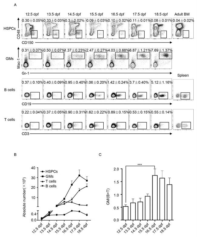 CD48 Antibody in Flow Cytometry (Flow)