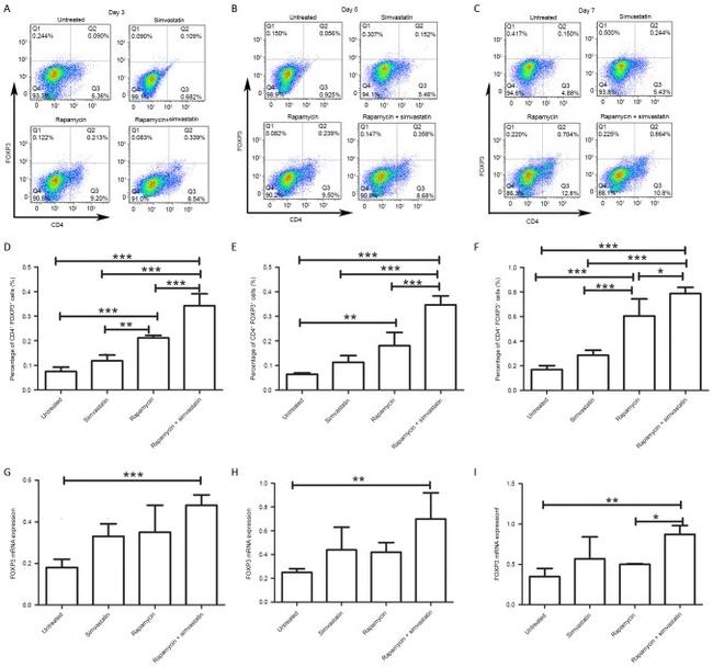 FOXP3 Antibody in Flow Cytometry (Flow)