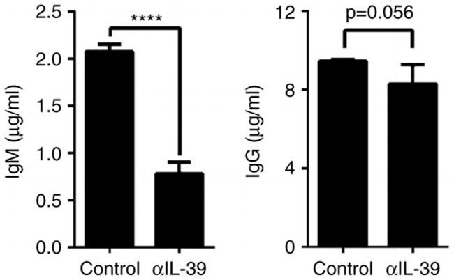 IgM Antibody in ELISA (ELISA)