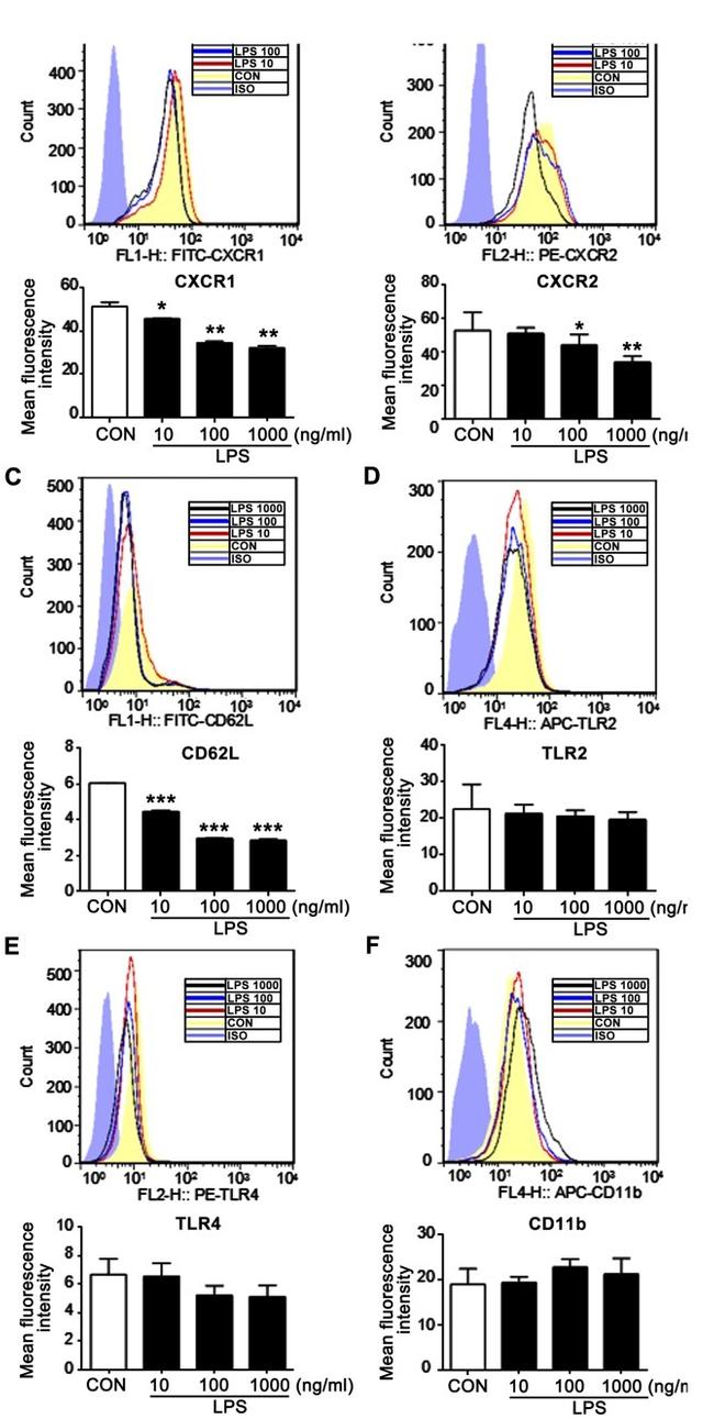 CD11b Antibody in Flow Cytometry (Flow)