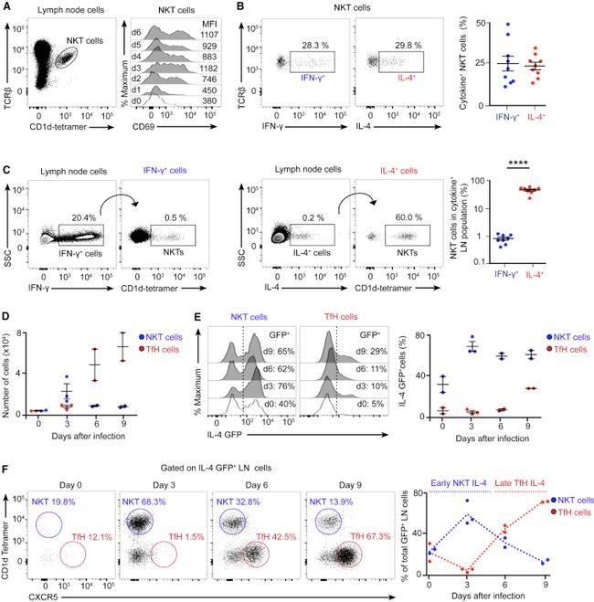 CD185 (CXCR5) Antibody in Flow Cytometry (Flow)