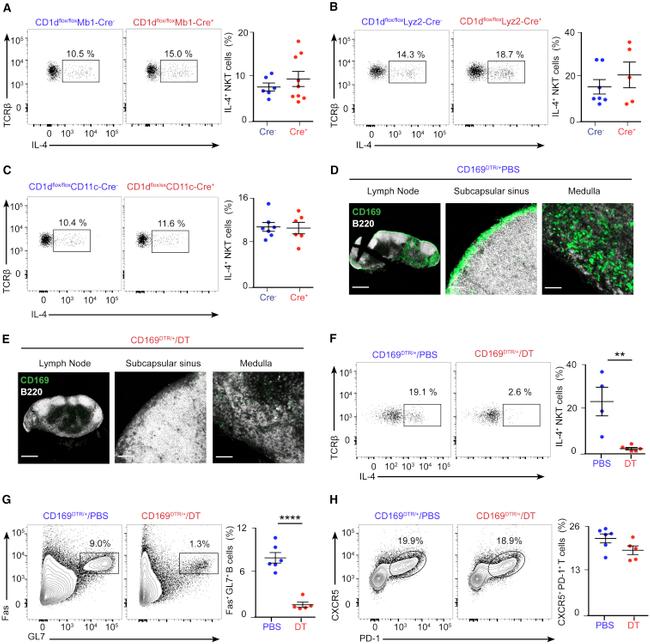 CD95 (APO-1/Fas) Antibody in Flow Cytometry (Flow)